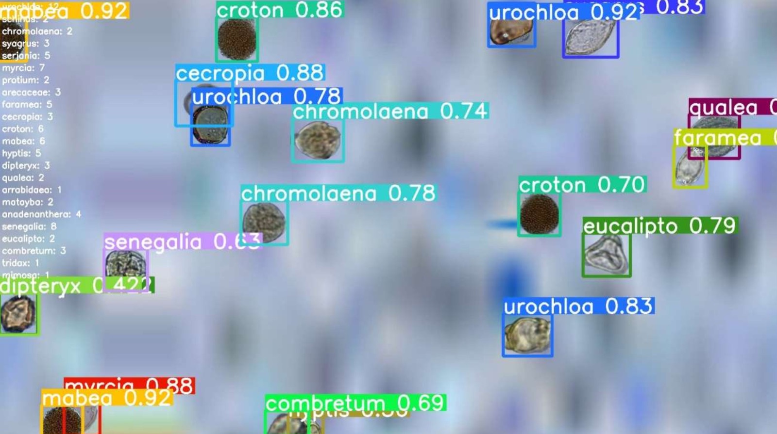 Detection boxes over pollen grains in a microscope video frame